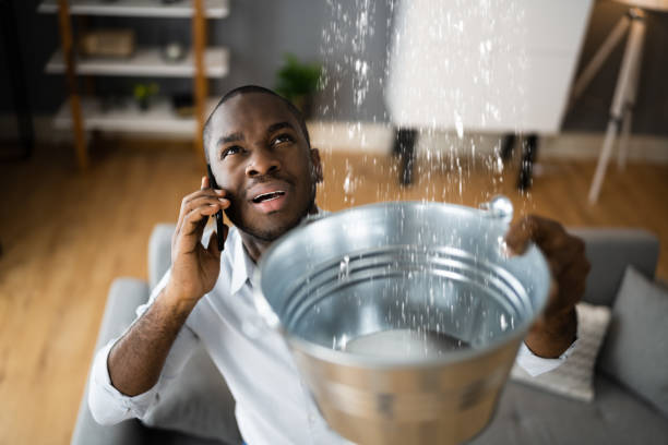 Best Ceiling water damage repair  in Stone Ridge, VA
