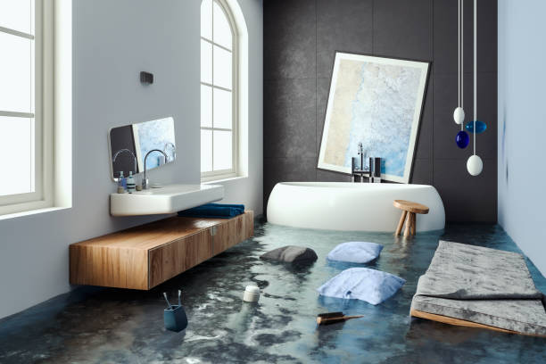 Best Flood restoration services  in Stone Ridge, VA