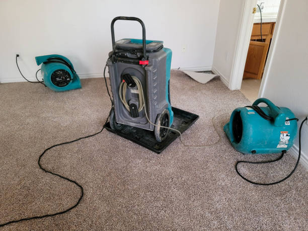Best Water damage repair service  in Stone Ridge, VA