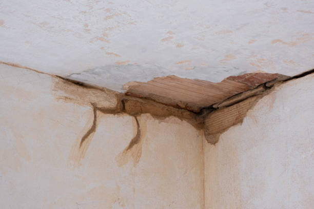 Best 24/7 water damage repair  in Stone Ridge, VA