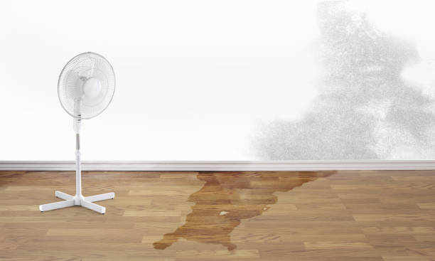 Best Flood damage cleanup  in Stone Ridge, VA