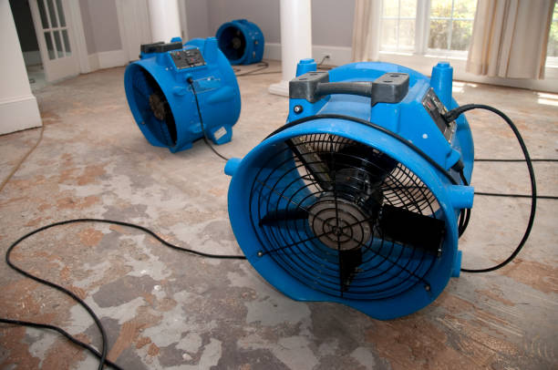 Best Basement water damage restoration  in Stone Ridge, VA