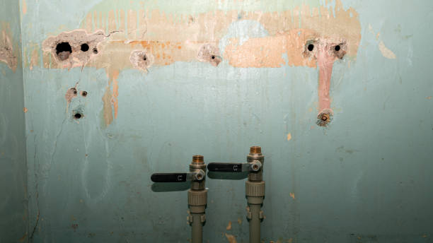Best Professional water damage repair  in Stone Ridge, VA