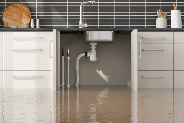 Best Residential water damage restoration  in Stone Ridge, VA