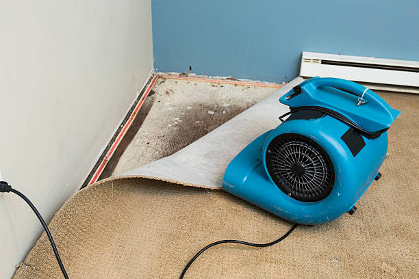 Best Water damage cleanup near me  in Stone Ridge, VA